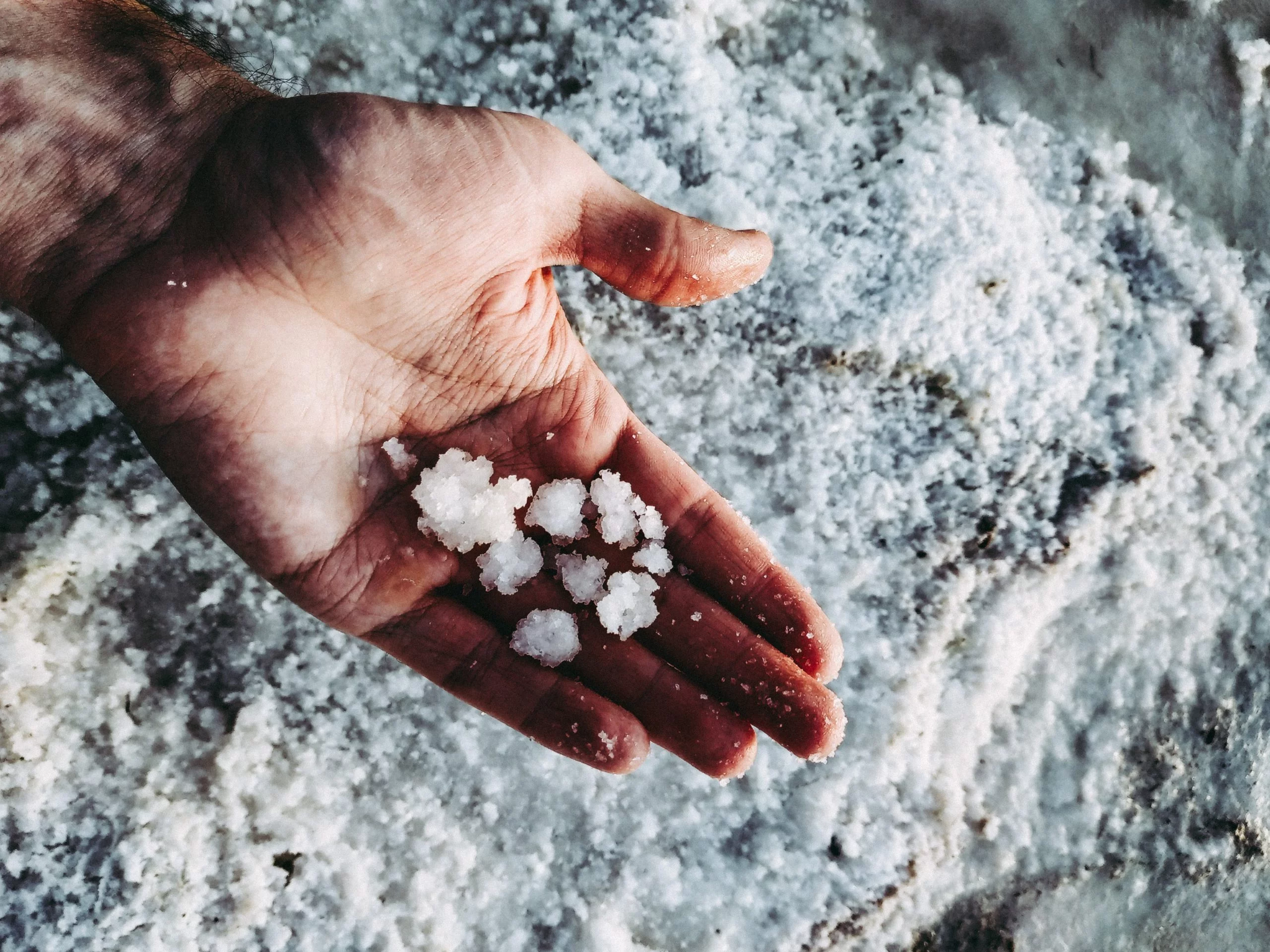 Should you be adding salt to your Aquaponics system?